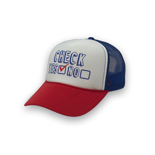 Check Yes or No image 3