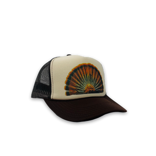 Turkey Feathers image 2