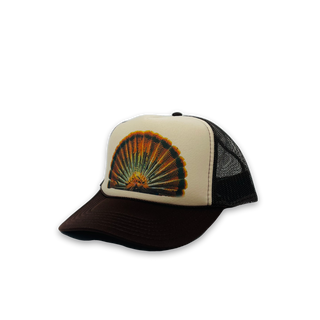 Turkey Feathers image 3